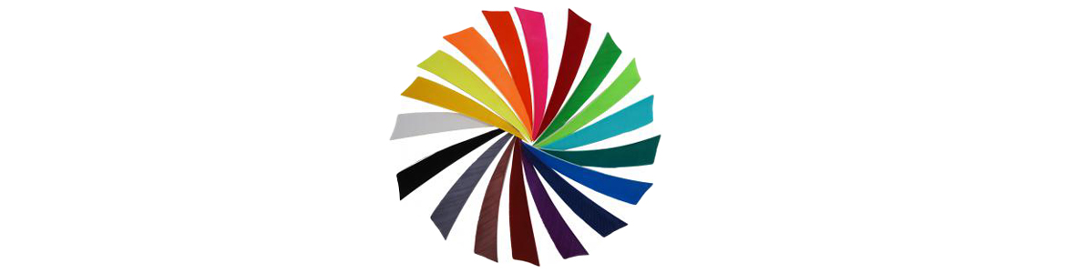 Feder_RW_Shield