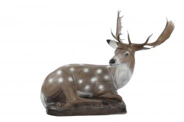Damhirsch_liegend