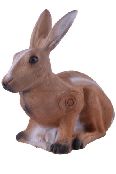 Brown hare