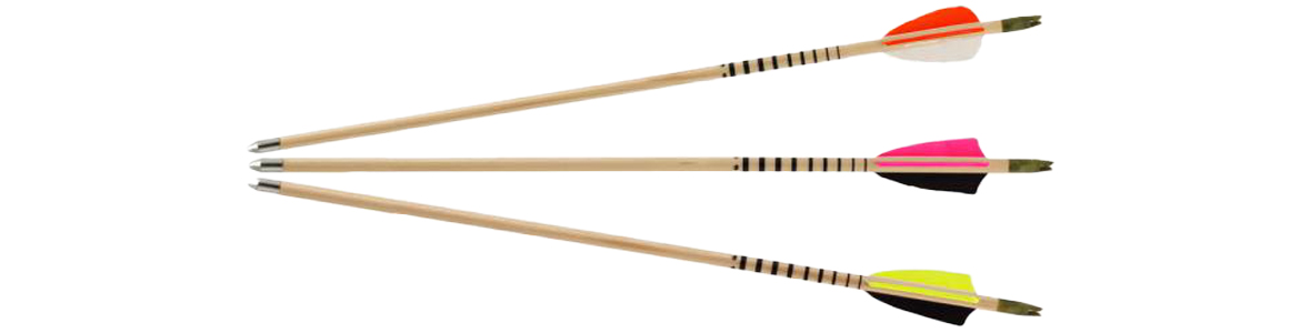 Jugendholzpfeil Profi