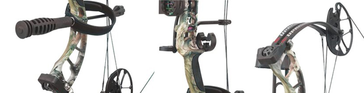 Compound Bow
