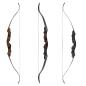 Preview: Spiderbows C.V. EDITION Condor Take Down Recurvebogen