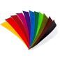 Preview: Feder RW Shield 5 Zoll einfarbig