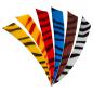 Preview: Feder RW Shield 5 Zoll zebra