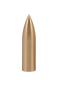 Preview: Brass Bullet Screw-on Point