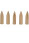 Preview: Brass Bullet Screw-on Point