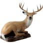 Preview: FB Liegender Hirsch