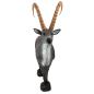 Preview: FB Capricorn