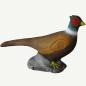 Preview: Leitold Pheasant