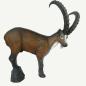 Preview: Leitold Ibex