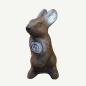 Preview: Leitold Rabbit