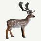 Preview: Leitold Fallow Deer