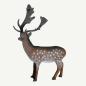 Preview: Leitold Fallow Deer