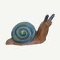 Preview: Leitold Snail