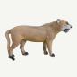 Preview: Leitold Lioness