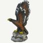 Preview: Leitold Steinadler