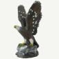 Preview: Leitold Bald Eagle