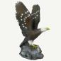 Preview: Leitold Bald Eagle