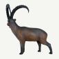 Preview: Leitold Alpensteinbock