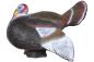 Preview: Longlife Balzender Truthahn