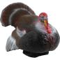 Preview: Longlife Balzender Truthahn