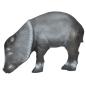Preview: Longlife Javelina Bache
