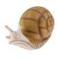 Preview: TC Targets - 3D Schnecke