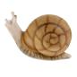 Preview: TC Targets - 3D Schnecke