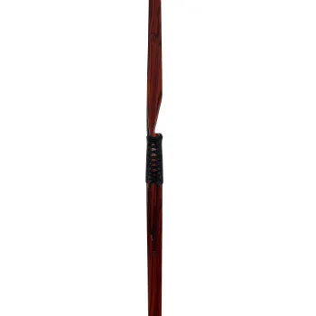 Fire Stick