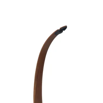 Nokoni