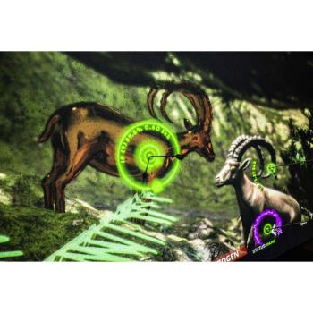 archerytime