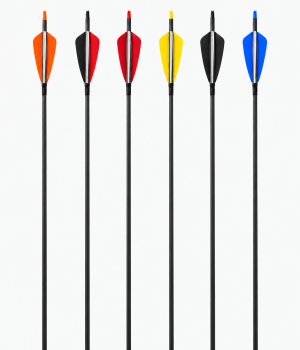 Fertigpfeile Shikobei Black Line Vanes 6.2mm