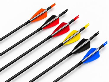 Preview: Fertigpfeile Shikobei Black Line Vanes 6.2mm