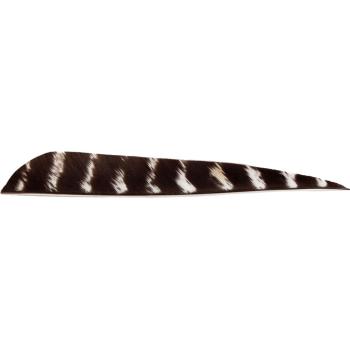 Feder RW Parabol 5 Zoll naturgestreift