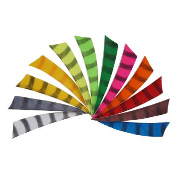 Feather RW Shield 4 Zoll barred