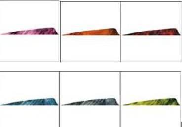 Feder RW Shield 4 Zoll Camo Tre