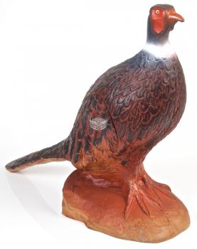 A.A. Pheasant in the Rock