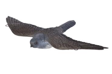 FB Fliegender Falke