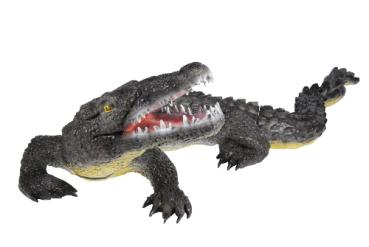 FB Großer Alligator