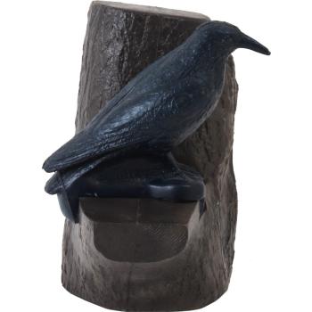 FB Raven & Backstop