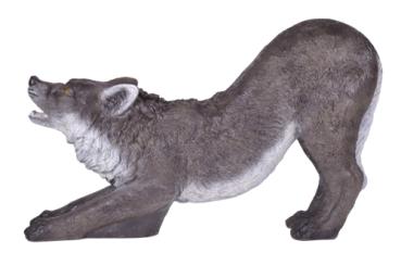 FB Schwarzer Wolf