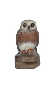 FB Little Owl