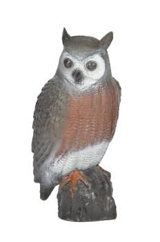 FB Brown Owl