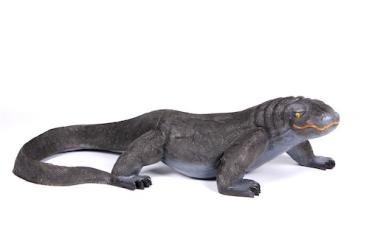 FB Goanna