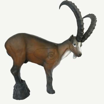 Leitold Ibex