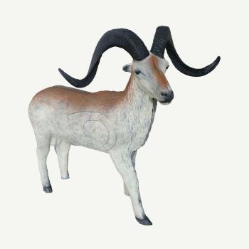 Leitold Marco Polo Sheep