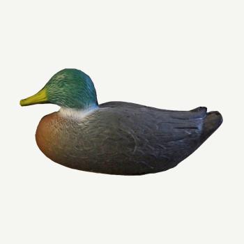 Leitold Duck