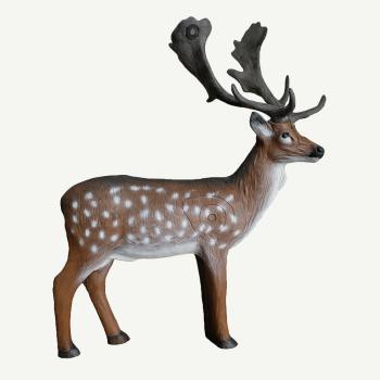 Leitold Fallow Deer