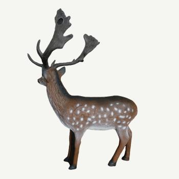 Leitold Fallow Deer