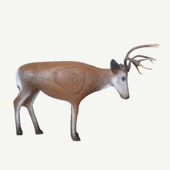 Leitold Fighting Deer